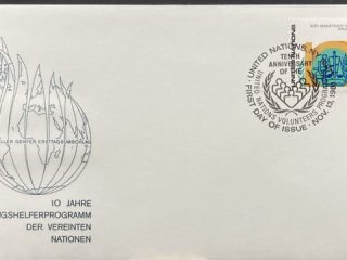 programa de voluntariado naciones unidas, spd