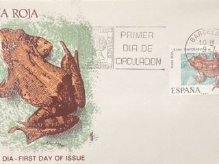 sobre primer dia rana roja