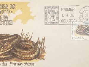 vivora de lataste en sobre primer dia