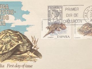 Sobre Tortuga