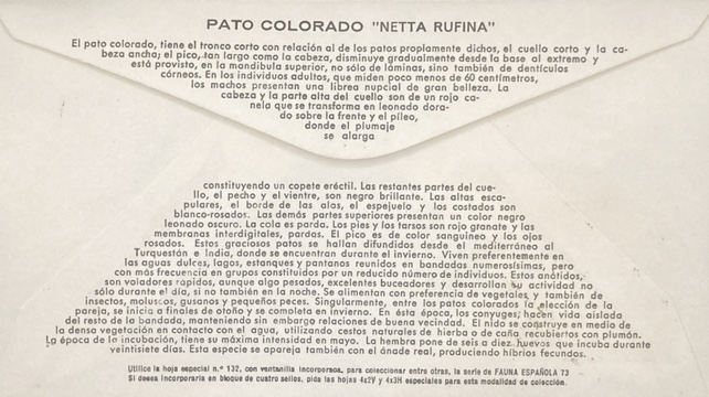 Sobre Primer Día 1973 - Fauna : Pato Colorado - España - Imagen 2