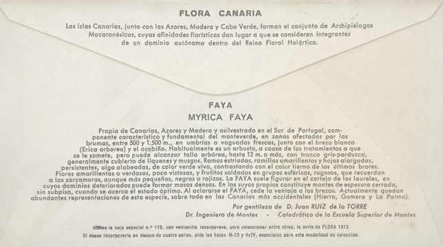 Faya Canaria dorso de SPD 1973