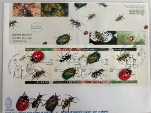 Israel 1994 - Escarabajos en Israel - Sobre Primer dia con Carnet
