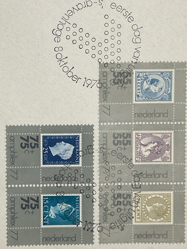 Amphilex 77 - Imagen 2