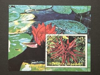 Hojita Souvenir Fujeira