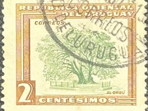 Sello Uruguay 1954 - El Ombú - Usado 2c - 1954