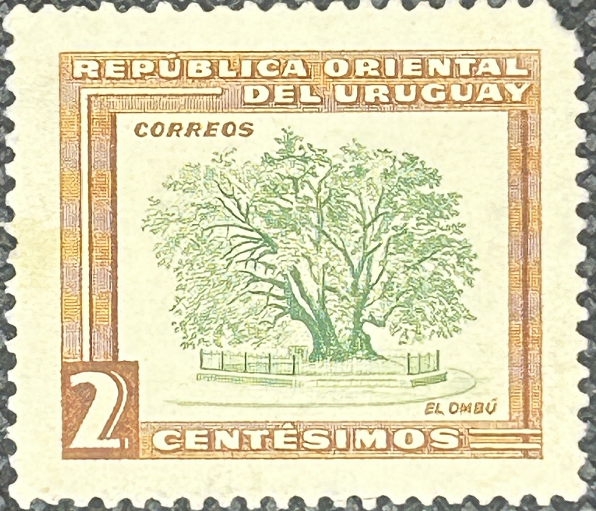Sello Uruguay 1954 - El Ombú - Nuevo 2c - 1954