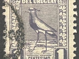 Sello Uruguay 1927 - Tero - 1 centesimo Azul violeta , usado