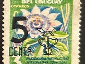 Sello Uruguay 1959 - Pasionaria - 5 cents overprint sobre 3 centésimos