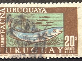Sello Uruguay 1968 - Fauna, Pejerrey - 20$ usado