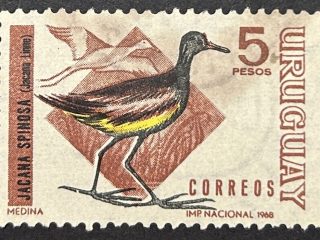 Sello Uruguay 1968 - Jacana Spinosa - 5 Pesos usado
