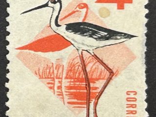 Sello Uruguay 1970 - Tero Real - 4$ usado