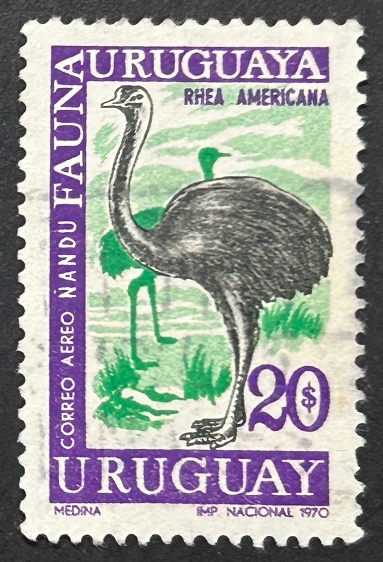 Sello Uruguay 1970 - Ñandú - 20$ nuevo