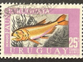 Sello Uruguay 1968 - Fauna , Dorado 25$