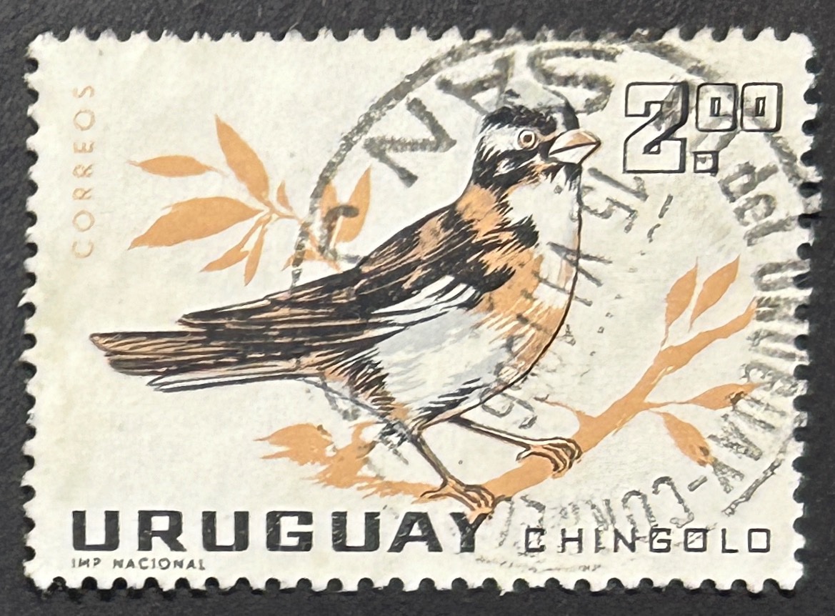 Sello Uruguay 1966 - Chingolo - 2 Pesos, usado