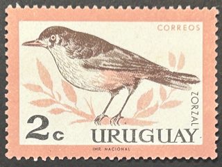 Sello Uruguay 1963  - Zorzal - 2c nuevo