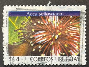 Sello Uruguay 1999 - Acca Sellowiana - 14£ usado