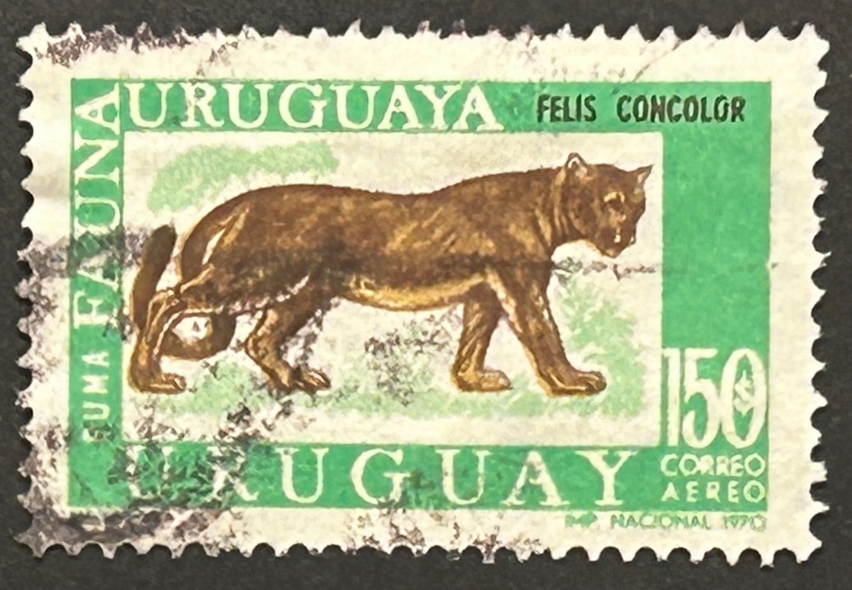 Sello Uruguay 1970 - Puma - 150$ usado, aéreo