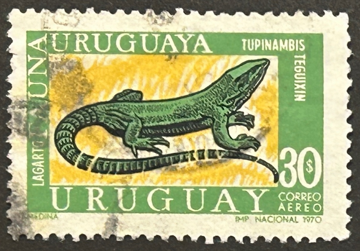Sello Uruguay 1970 - Lagarto - 30$ usado