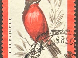 Sello Uruguay 1984 - Churrinche - 90 c. usado