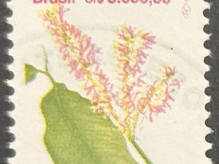 Sello Brasil 1992 - Tripalis Surinamensis - 5000 Cr$ Usado