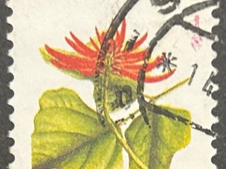 Sello Brasil 1993 - Erythrina Speciosa - 20000 Cr$ Usado