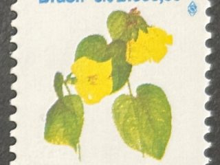 Sello Brasil 1992 - Hibiscus pernambuciensis - 2000 Cr$ Nuevo