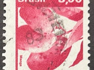 Sello Brasil 1982 - Mango - 3,00 Cr$ Rojo Usado