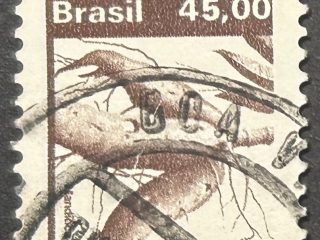 Sello Brasil 1983 - Mandioca - 45,00 Cr$ Marrón oscuro. Usado