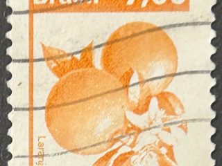 Sello Brasil 1981 - Naranjas - 7,00 Cr$ Naranja, Usado