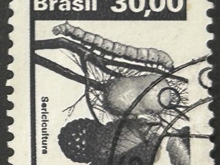 Sello Brasil 1982 - Serisicultura - 30,00 Cr$ Negro Usado