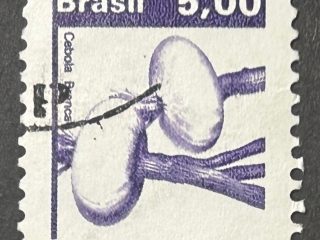 Sello Brasil - Cebolla - 5,00 Cr$ Lila Usado