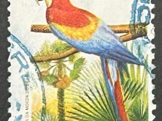 Sello Brasil 1973 - Ara Macao - 1,00 Cr$ Usado