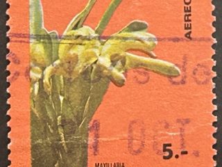 Sello Bolivia 1974 - Maxillaria - 5 Bs Usado