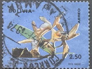 Sello Bolivia 1974 - Cattleya luteola  - 2,50 B$ Usado, Aéreo