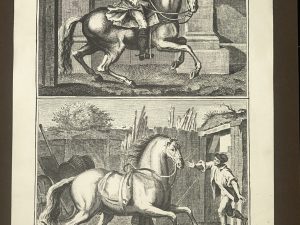 Lámina Facsímil Enciclopedia Diderot - España 2003 - 39 x 26 cm - Manege