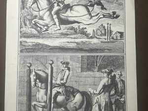 Lámina Facsímil Enciclopedia Diderot - España 2003 - 39 x 26 cm - Manege