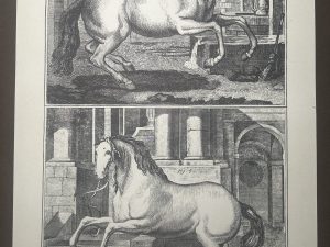 Lámina Facsímil Enciclopedia Diderot - España 2003 - 39 x 26 cm - Manege