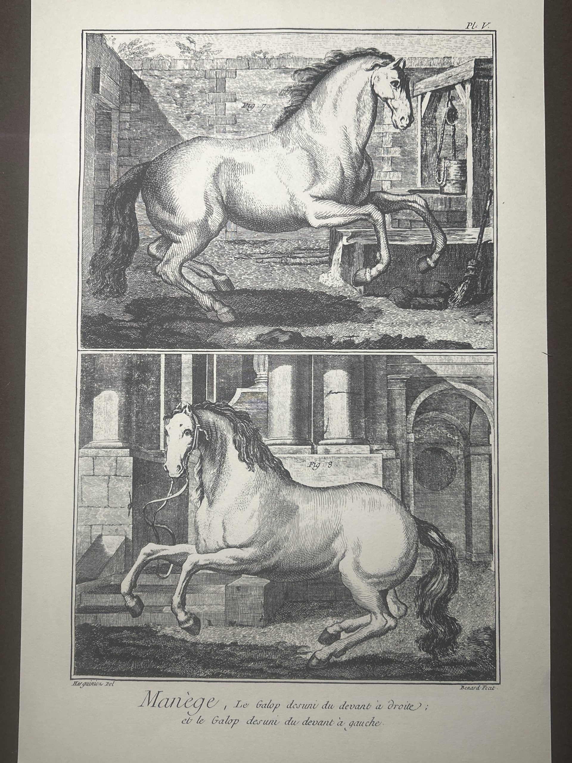 Lámina Facsímil Enciclopedia Diderot - España 2003 - 39 x 26 cm - Manege