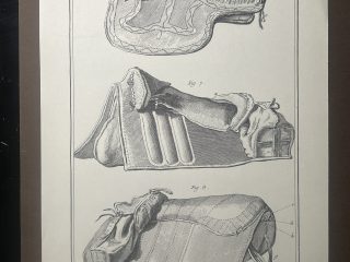 Lámina Facsímil Enciclopedia Diderot - España 2003 - 39 x 26 cm - Manege