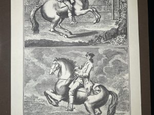 Lámina Facsímil Enciclopedia Diderot - España 2003 - 39 x 26 cm - Manege