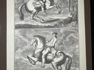 Lámina Facsímil Enciclopedia Diderot - España 2003 - 39 x 26 cm - Manege