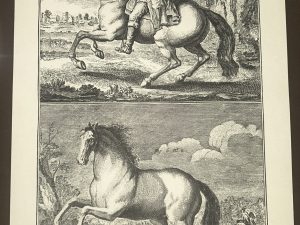 Lámina Facsímil Enciclopedia Diderot - España 2003 - 39 x 26 cm - Manege