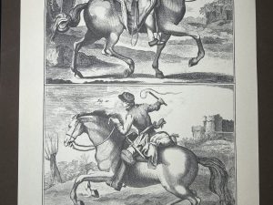 Lámina Facsímil Enciclopedia Diderot - España 2003 - 39 x 26 cm - Manege