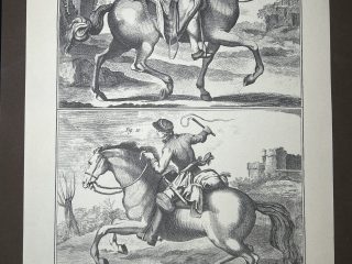 Lámina Facsímil Enciclopedia Diderot - España 2003 - 39 x 26 cm - Manege