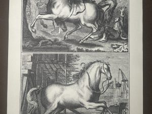 Lámina Facsímil Enciclopedia Diderot - España 2003 - 39 x 26 cm - Manege