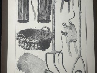 Lámina Facsímil Enciclopedia Diderot - España 2003 - 39 x 26 cm - Manege