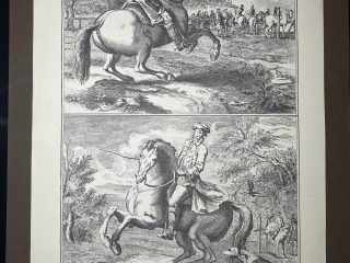 Lámina Facsímil Enciclopedia Diderot - España 2003 - 39 x 26 cm - Manege