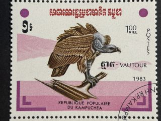 Bloque de 5 sellos de Camboya 1983 - Aves : Vautour - 1 Riel