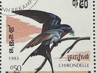 Bloque de 5 sellos de Camboya 1983 - Aves : L’Hirondelle - 0,50 Riels